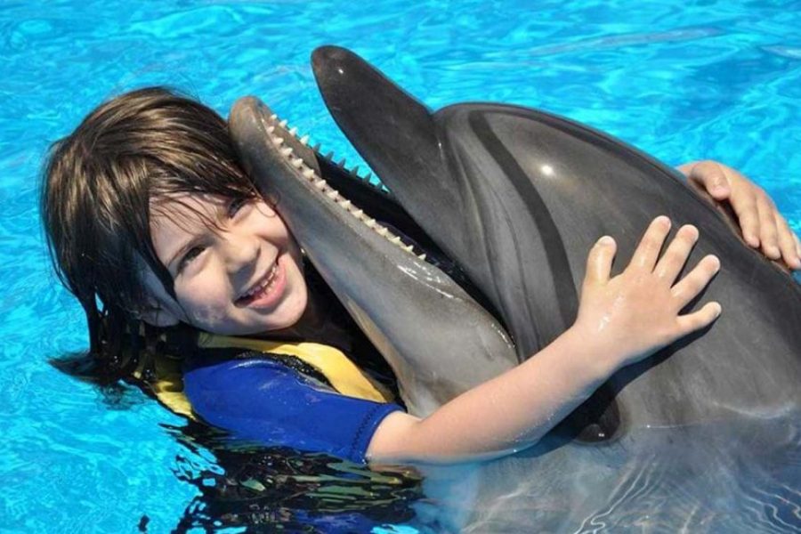 Foto con i delfini
