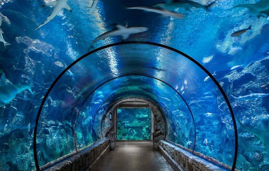 Acquario di Hurghada