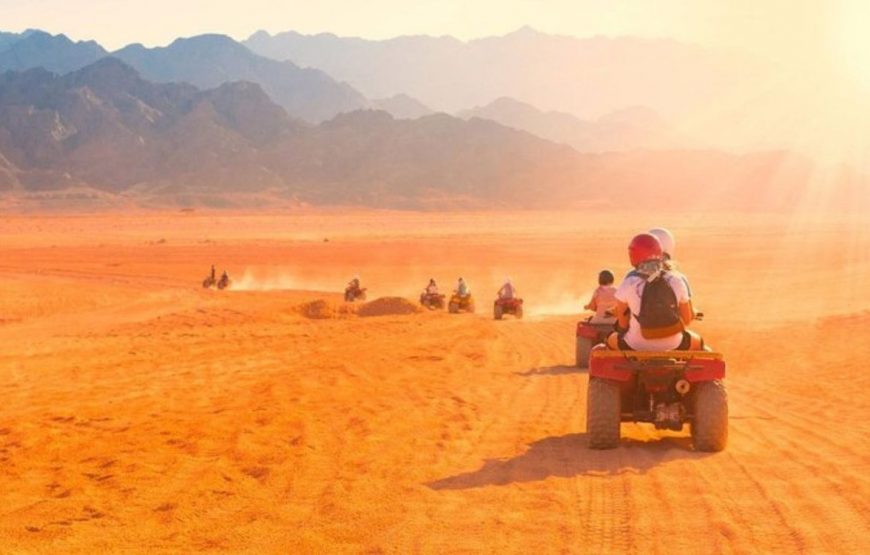 Safari Mix (Marsa Alam)