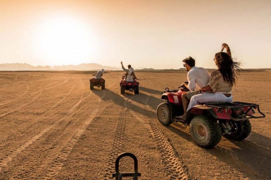 Safari Quad 3 Ora