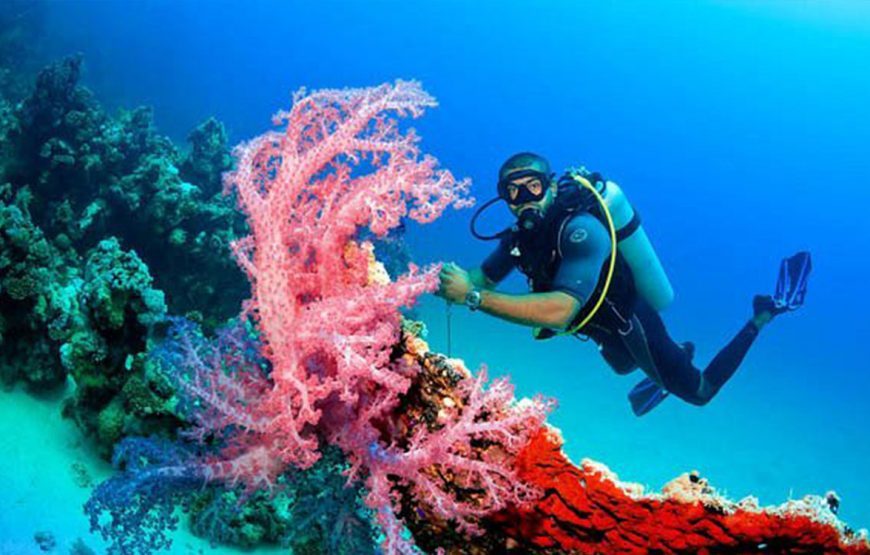 Introduction diving (diving for Beginners)
