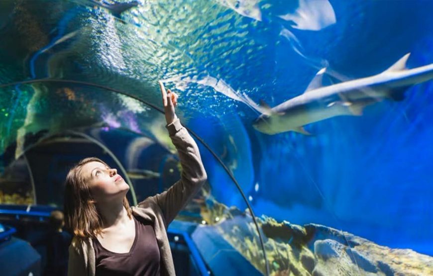 Acquario di Hurghada