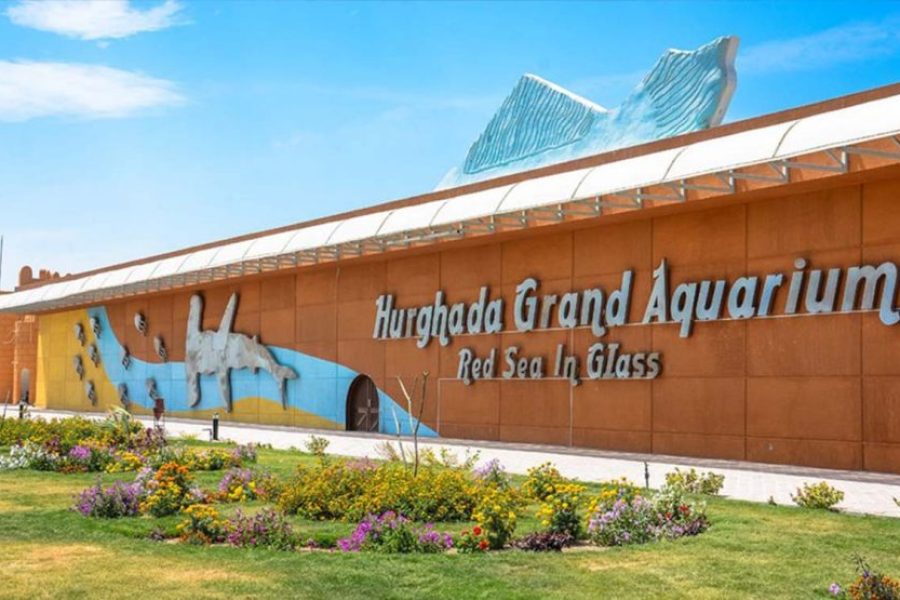 Hurghada Aquarium