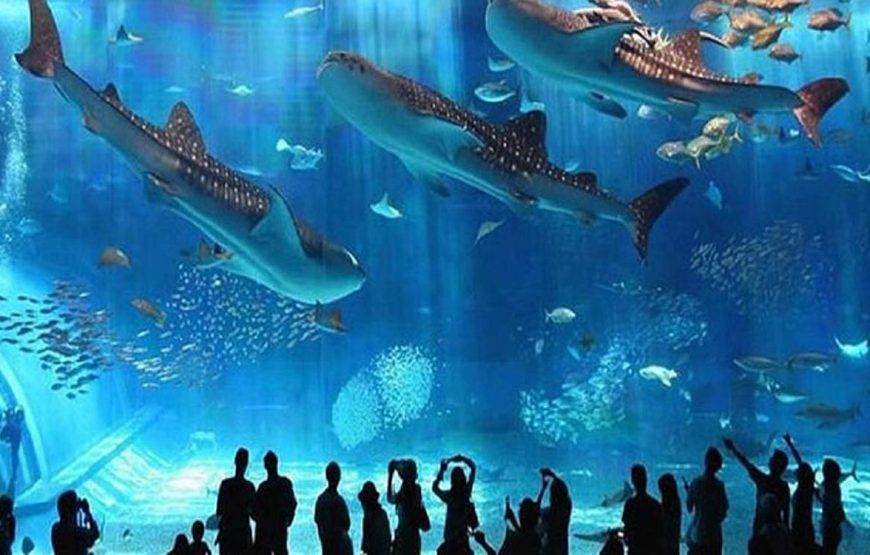 Acquario di Hurghada