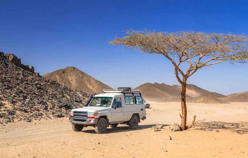 Super Desert Safari (Marsa Alam)