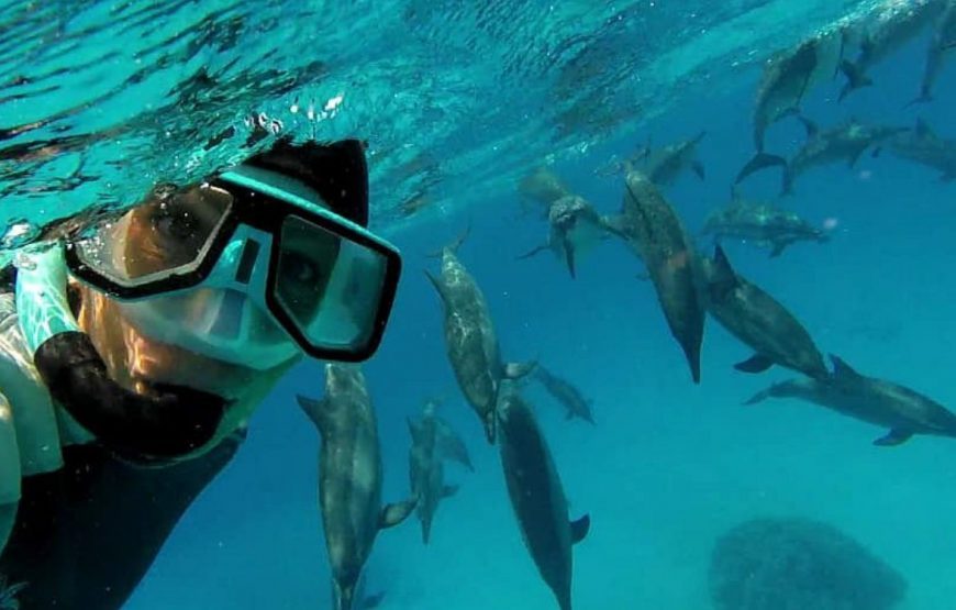 Sataya – Overnight snorkeling
