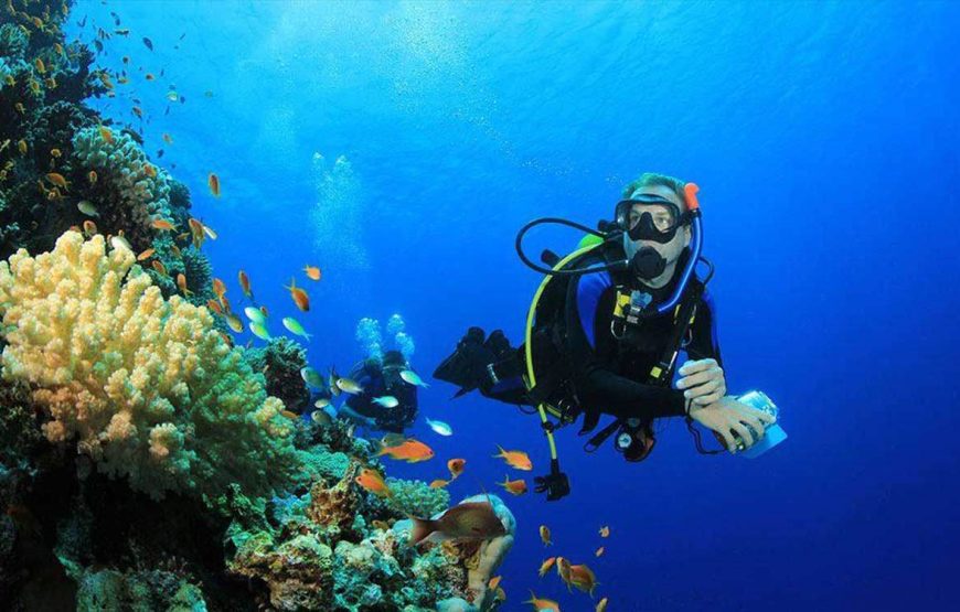 Introduction diving (diving for Beginners)