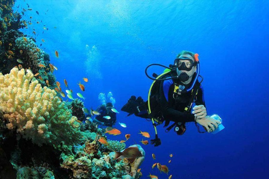 Introduction diving (diving for Beginners)