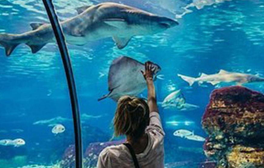 Acquario di Hurghada