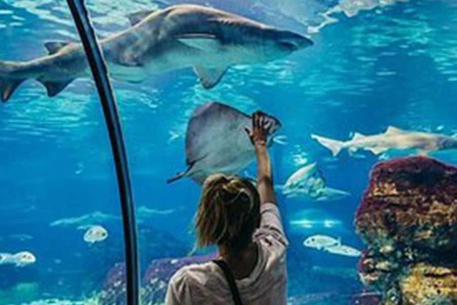 Acquario di Hurghada