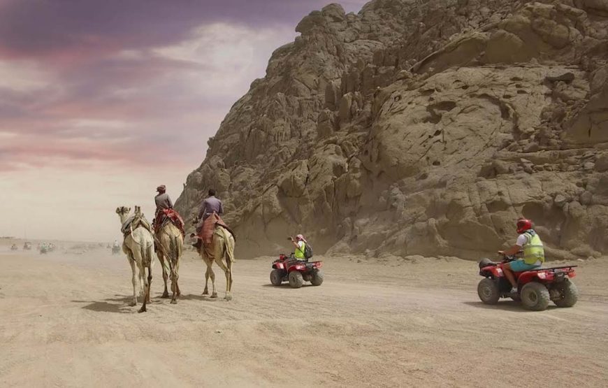 Safari Mix (Marsa Alam)
