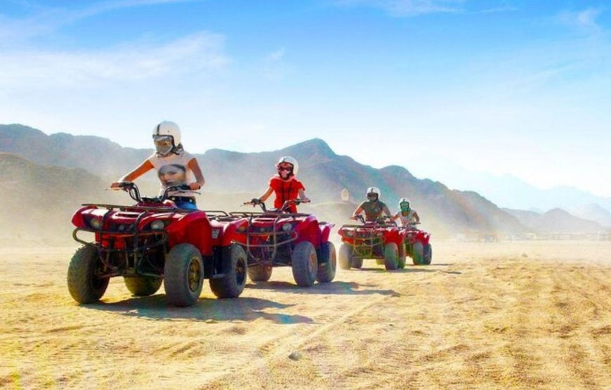 Safari Mix (Marsa Alam)